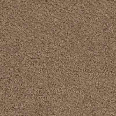 Veronella 5-Piece Sectional with Chaise