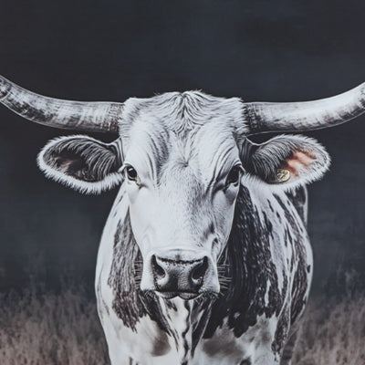 Arte mural de Harlandale