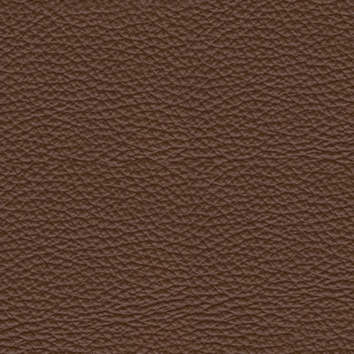 Loveseat reclinable eléctrico VonRyan