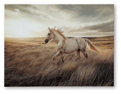 Errolville Wall Art - Multi